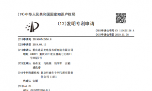 一种基于分形纳米线表面结构的Si-APD光电探测器及制备方法